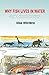 Why Fish Lives in Water and Other Stories by Afua Offeibea