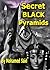 Secret Black Pyramids by Mohamed Said