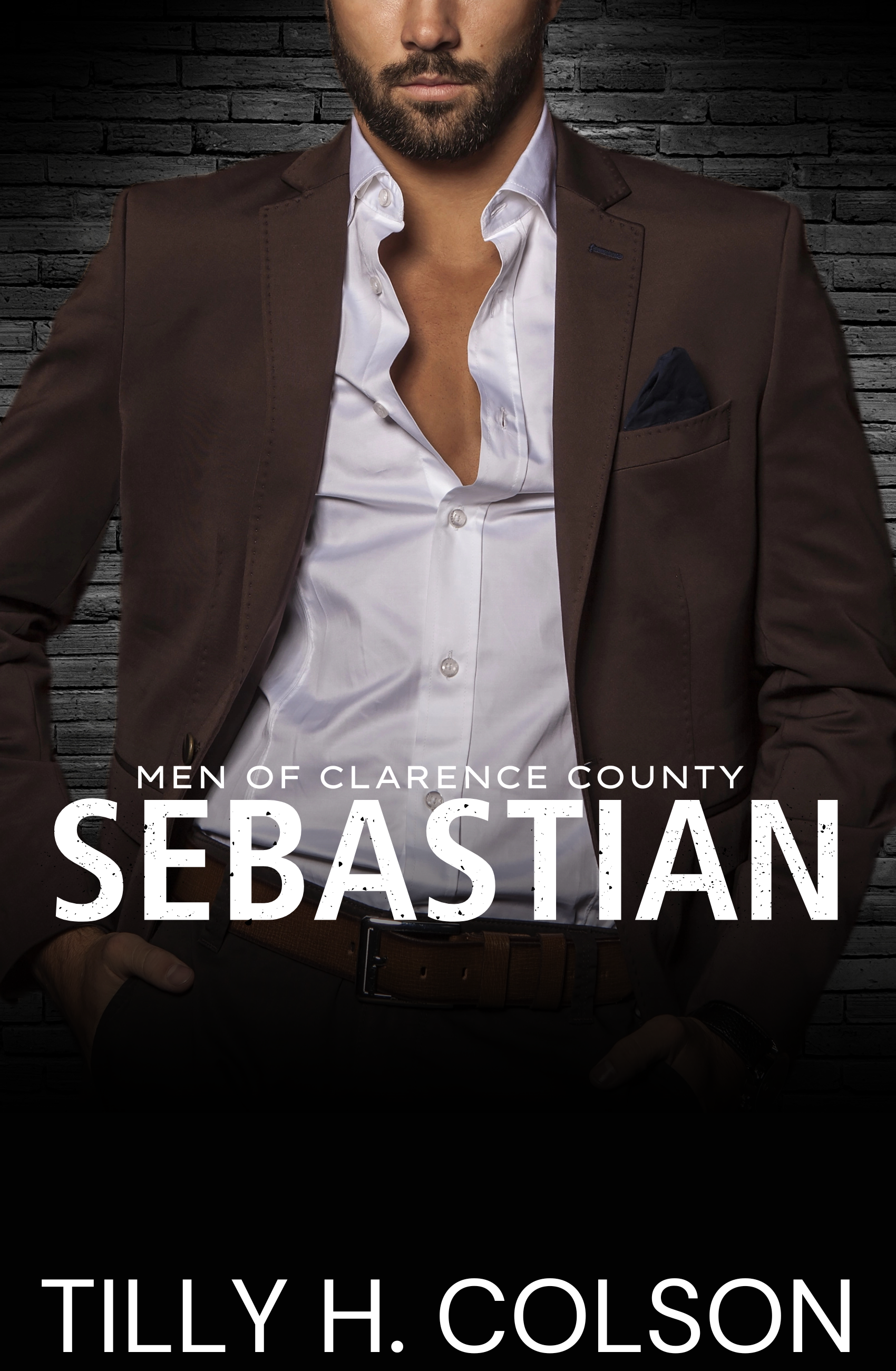 Sebastian (Men of Clarence County #3)