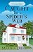 Caught in a Spider's Web: A Cozy Quilts Club Mystery