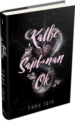 Kalbe Saplanan Ok -1 (Kalbe Saplanan Ok, #1)