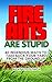 Fire Ants Are Stupid: 40 Wa...