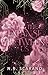 The Expanse Between Us by N.R. Scarano
