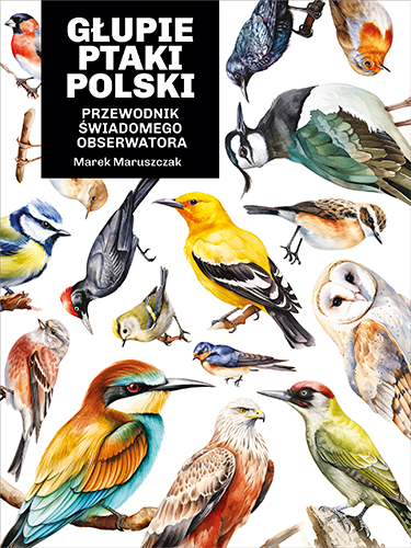 Głupie ptaki Polski. Przewodnik świadomego obserwatora (Hardcover)