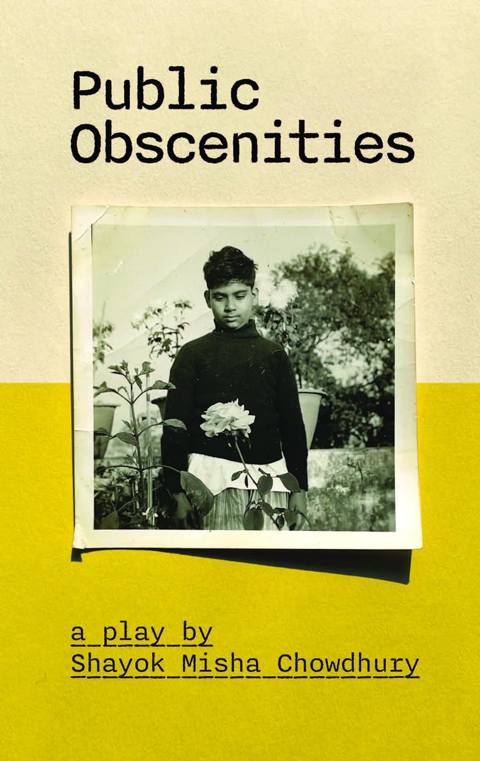 Public Obscenities: A Play (Paperback)
