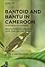 Bantoid and Bantu in Cameroon: An Historical Reassessment (Studies in Language Change [SLC], 19)