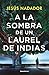 A la sombra de un laurel de Indias