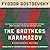 The Brothers Karamazov