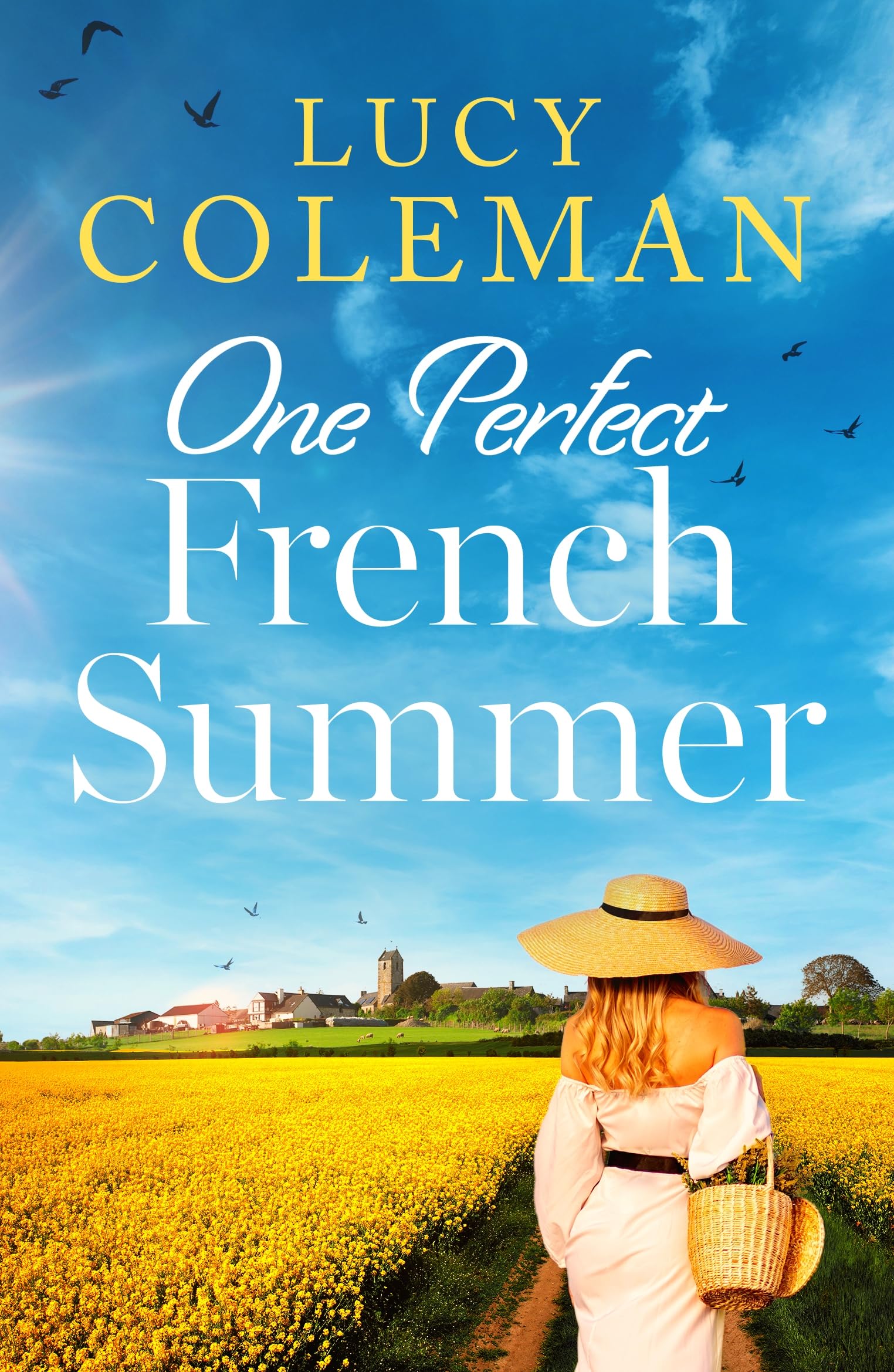 One Perfect French Summer (Kindle Edition)