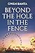 Beyond the Hole in the Fence
