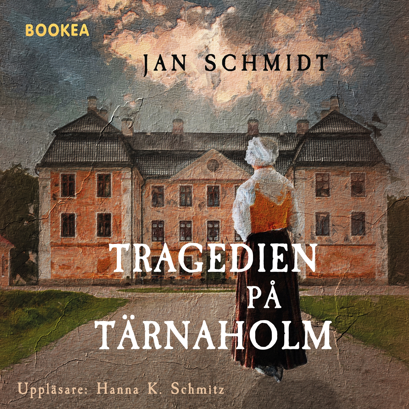 Tragedien på Tärnaholm (Audiobook)