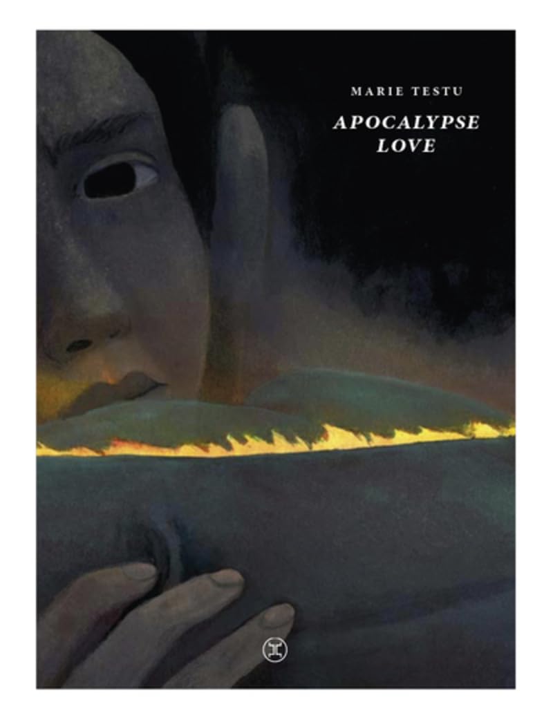 Apocalypse love (Paperback)