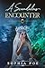 A Scandalous Encounter (Naughty Fairytale Series Book 10)