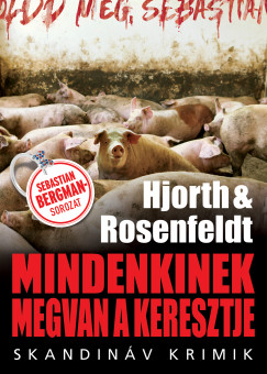 Mindenkinek megvan a keresztje (Sebastian Bergman, #8)