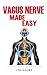 Vagus Nerve Made Easy: An E...