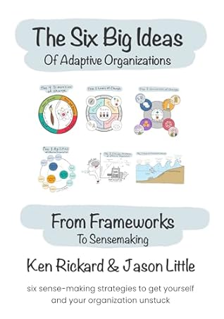 The Six Big Ideas of Adaptive Organizations: From Frameworks to Sensemaking: (The Transformative Change Series)