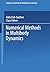 Numerical Methods in Multib...