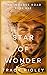 Star of Wonder (The Incense Road #1)