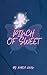 PINCH OF SWEET by Rabia Khan