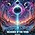 Echoes of the Void: A Cosmi...