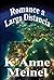 Romance a Larga Distancia (Spanish Edition)