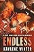 Endless: Ty & Zoey (Less Than Zero, #1)