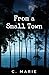 From a Small Town by C. Marie