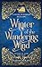 Winter of the Wandering Wind: A Flying Dutchman Retelling (Seasons of Music and Magic, #4)