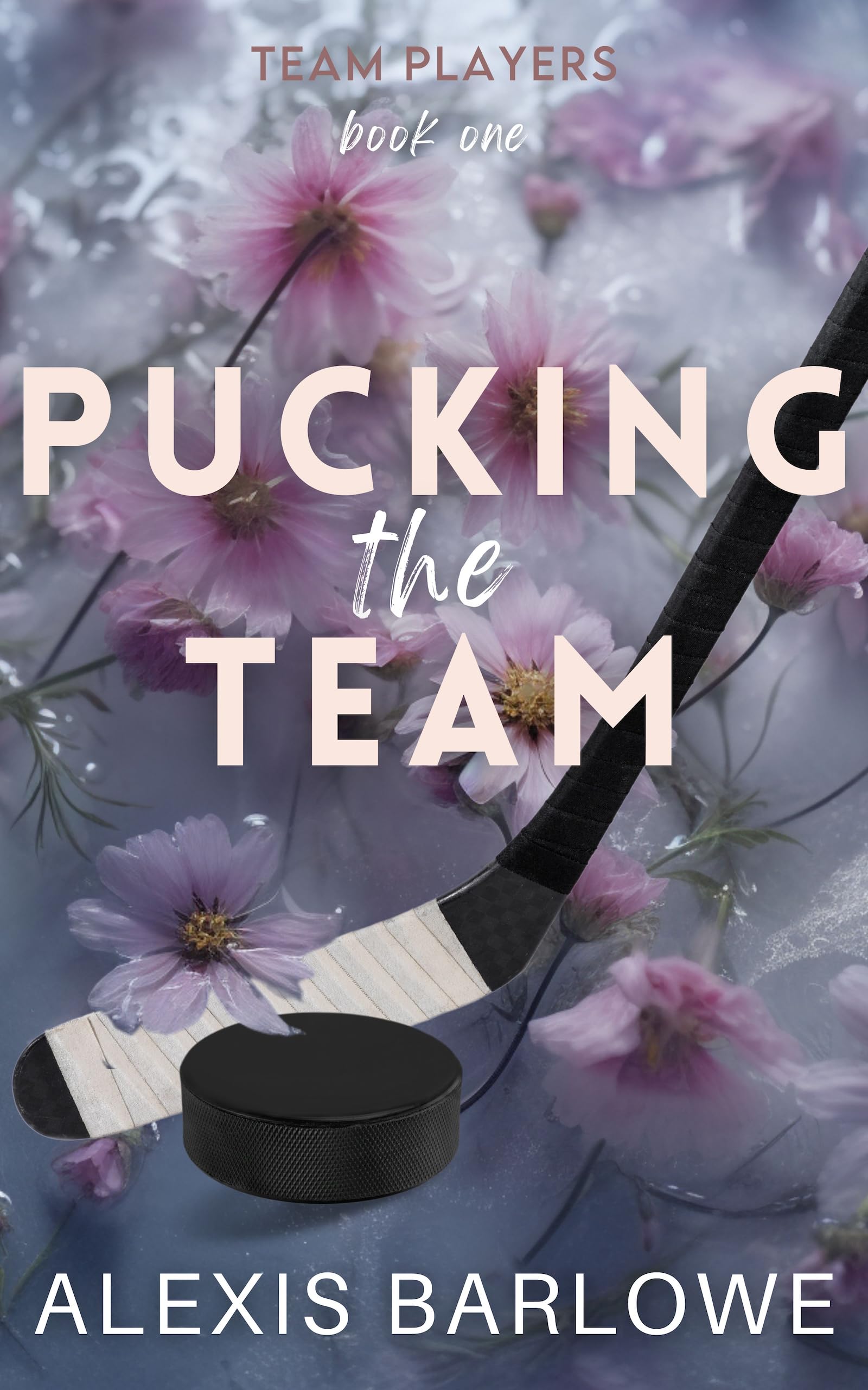 Pucking the Team (Team Players #1)