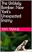 The Unlikely Bomber: New Yo...