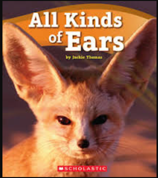All Kinds of Ears (Paperback)