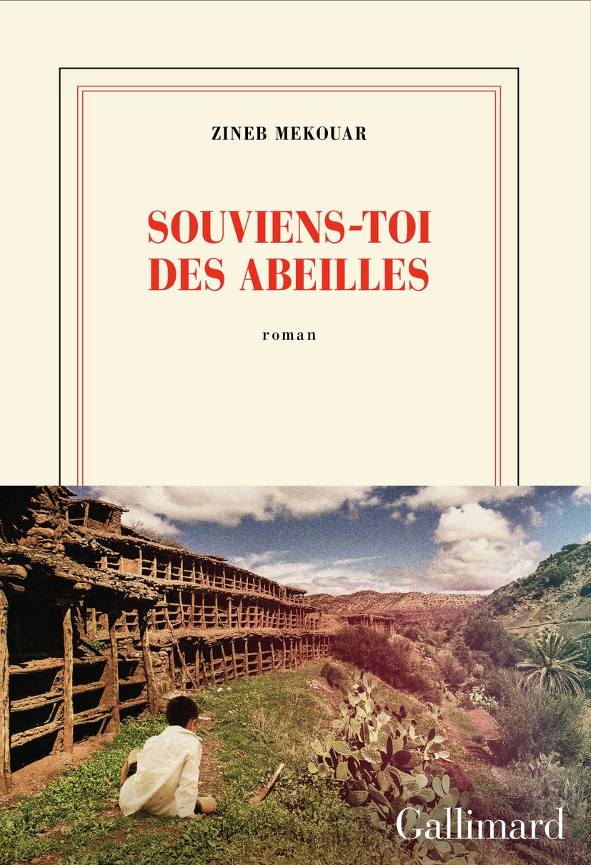 Souviens-toi des abeilles (Paperback)