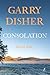 Consolation (Hirsch Book 3)