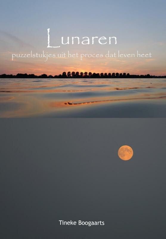 Lunaren: puzzelstukjes uit het proces dat leven heet (Paperback)