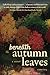 Beneath Autumn Leaves by Lizbeth J