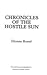 Chronicles of the Hostile Sun