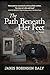 The Path Beneath Her Feet by Janis Robinson Daly