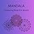 MANDALA: COLOURING BOOK FOR...