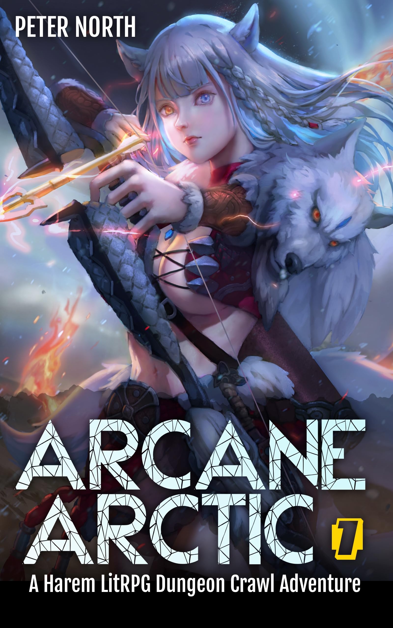 Arcane Arctic (Kindle Edition)