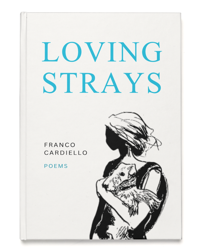 Loving Strays: between hope and fear