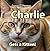 Charlie Gets a Kitten (The ...