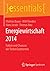 Energiewirtschaft 2014: Fak...