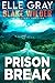Prison Break (Blake Wilder FBI Mystery Thriller Book 24) by Elle Gray