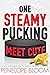 One Steamy Pucking Meet Cute (Frosty Harbor #3)