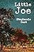 Little Joe