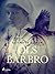 Ols Barbro (Skalunga Book 3...