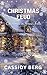 Christmas Feud (Christmas in Snow Falls, #12)