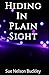 Hiding in Plain Sight, An Aliens Next Door, Teen Adventure and Romance