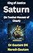 Saturn : In Twelve Houses o...
