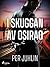 I skuggan av Osiraq